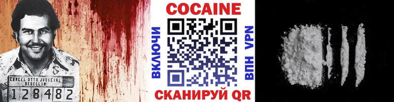 COCAIN Columbia Лесной